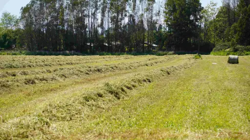 Programa de recuperación de suelos beneficia a 561 agricultores del Biobío con  millones