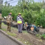 Vehículo termina volcado en una zanja en Yumbel , Diario La Tribuna