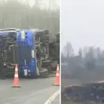 Accidente de tránsito deja dos camiones de alto tonelaje volcados en la Ruta de la Madera, Diario La Tribuna