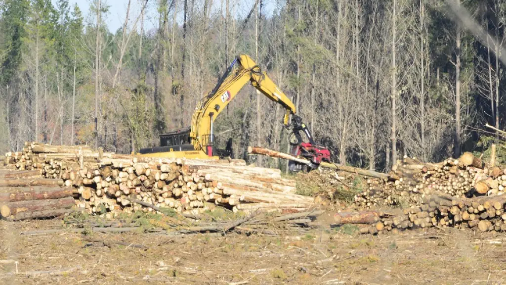 Madera, forestal, cosecha , Fredy Muñoz, La Tribuna