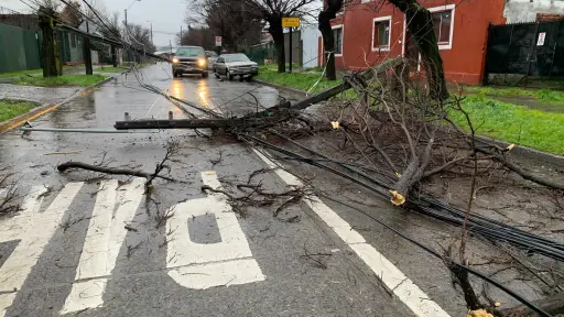Vientos de hasta 80 km/h marcarán llegada de dos sistemas frontales a la región del Biobío