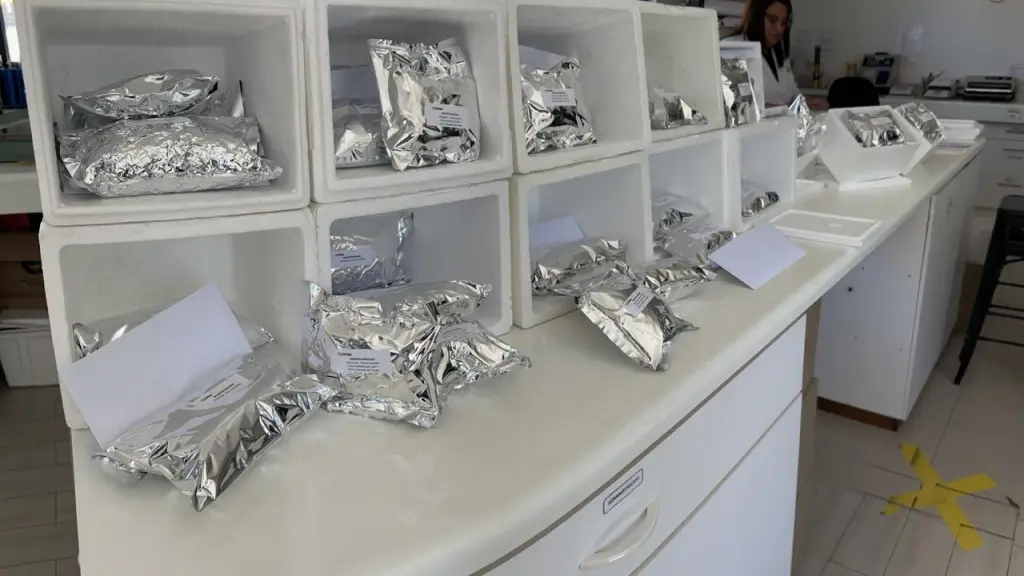 Roces entre agroindustria y productores por resultados de los análisis otorgan una alta relevancia a laboratorios arbitradores.