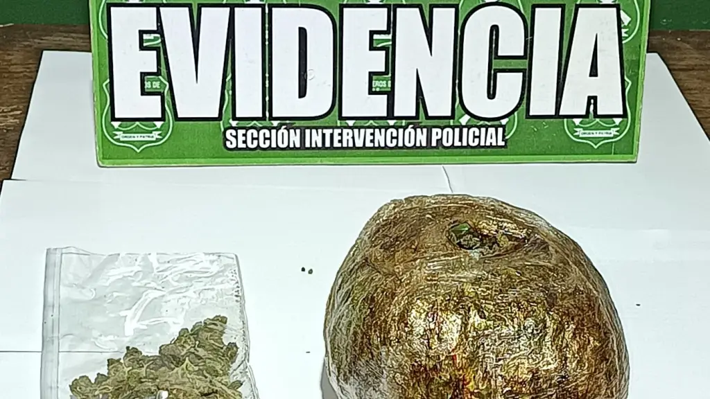 Carabineros incautó más de medio kilo de marihuana., Cedida