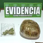 Carabineros incautó más de medio kilo de marihuana., Cedida