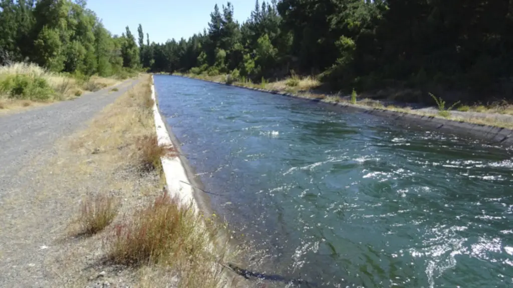 Canalistas del Laja, Diario La Tribuna