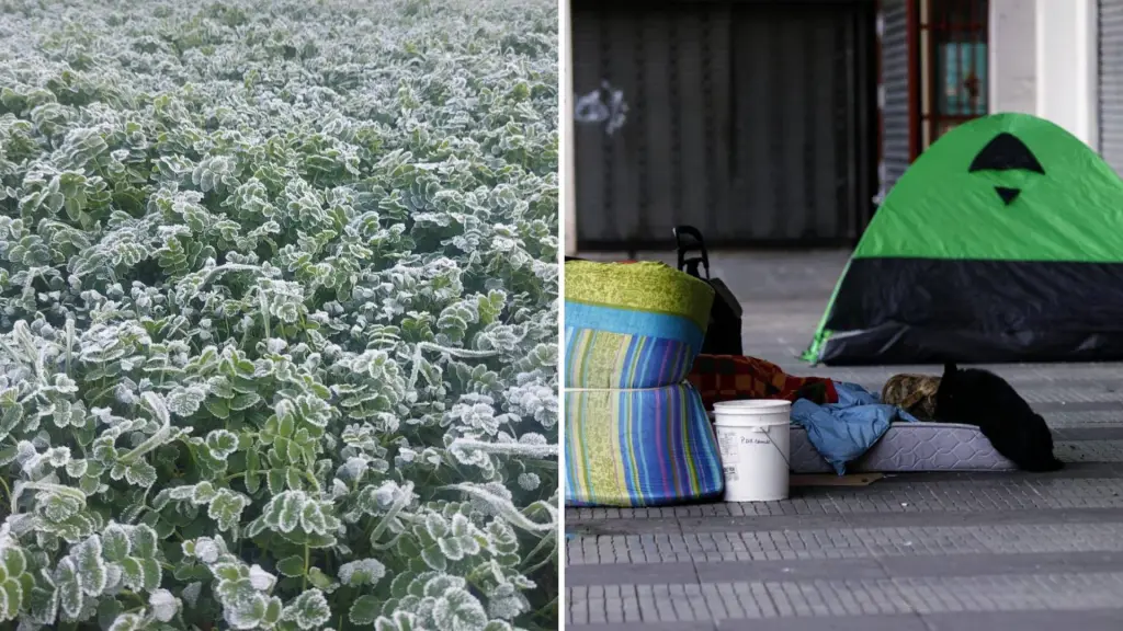 Código azul y frío extremo en Los Ángeles, Contexto