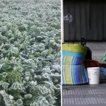 Código azul y frío extremo en Los Ángeles, Contexto
