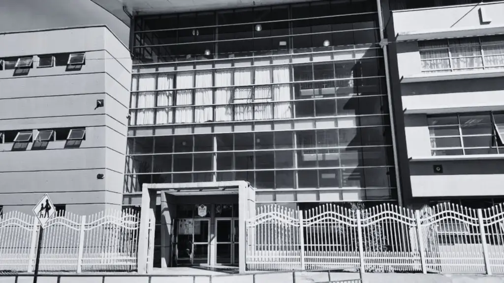 Estudiante de 17 años falleció súbitamente durante el recreo en liceo de Temuco, La Tribuna