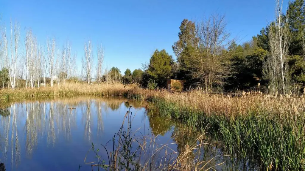 “No es un humedal, es un pantano”: la disputa que divide a las autoridades locales por el “humedal” de Cantarrana, Diario La Tribuna