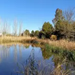 “No es un humedal, es un pantano”: la disputa que divide a las autoridades locales por el “humedal” de Cantarrana, Diario La Tribuna