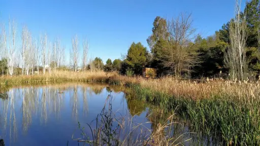 No es un humedal, es un pantano: la disputa que divide a las autoridades locales por el humedal de Cantarrana