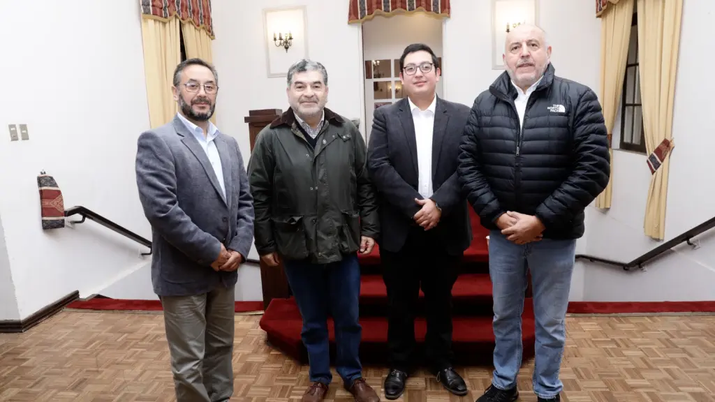 Mario Pinilla, José Bermedo, Freddy Pinilla y Walter Aránguiz | Diario La Tribuna