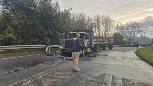 Reportan nuevo ataque incendiario en la región de La Araucanía