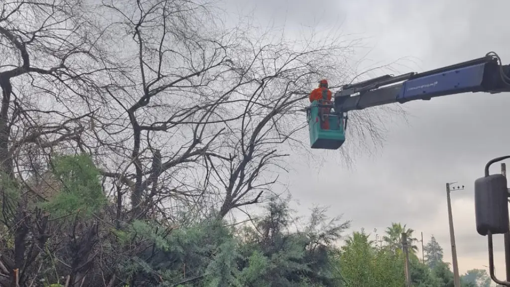 Compensación clientes sin luz