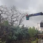 Compensación clientes sin luz