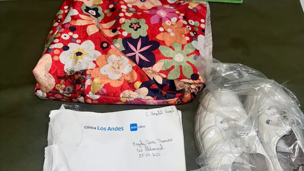 Las especies sustraídas a la pareja de adultos mayores lograron ser recuperadas por Carabineros. , Cedida