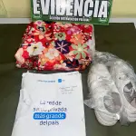 Las especies sustraídas a la pareja de adultos mayores lograron ser recuperadas por Carabineros. , Cedida
