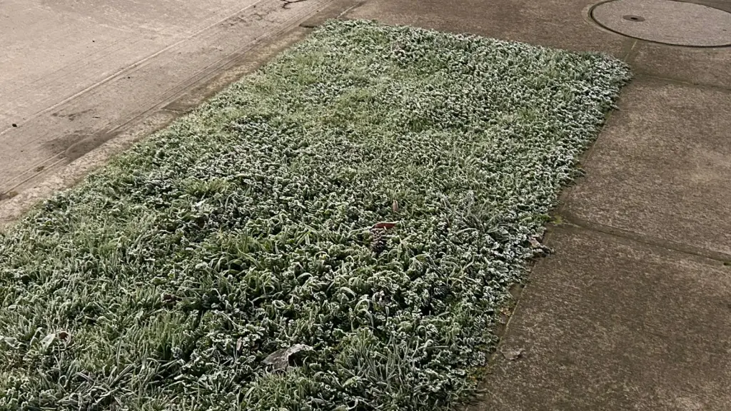 Temperaturas bajo cero en Biobío, Diario La Tribuna