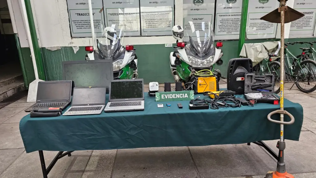 Especies recuperadas por la SIP  de Carabineros de Los Ángeles., Cedida