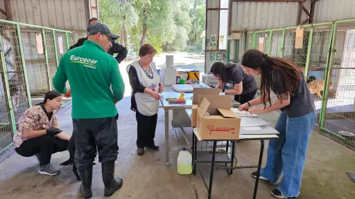 Un invierno más cálido para ellos: Protectora de Animales Los Ángeles lanza campaña para mejorar albergue