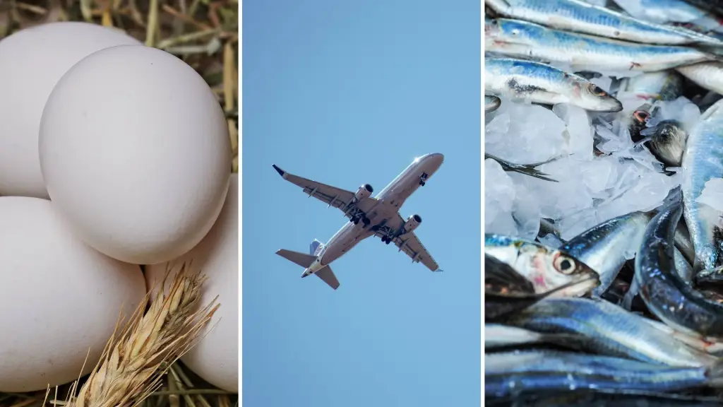 Alimentos, transporte aéreo y artículos del hogar impulsaron el alza., Referencial