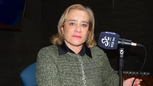 Diputada Weisse pide al Ejecutivo patrocinar y darle urgencia a iniciativa que obliga a instalar mallas protectoras en departamentos