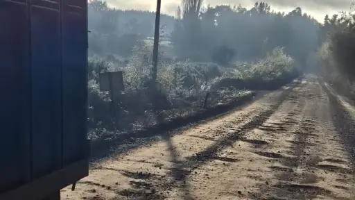  Alcalde de Santa Bárbara denuncia abandono de caminos rurales pese a informes de Vialidad
