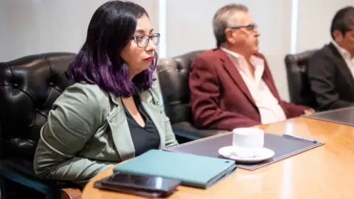El Ministerio pidió mi renuncia: exseremi de Minería de Antofagasta niega vínculo con licencias médicas y denuncia presiones