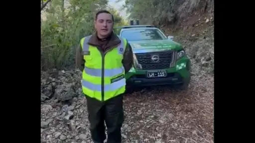Cinco personas resultaron lesionadas en el accidente donde falleció una niña de 12 años en Alto Biobío