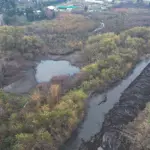 Cantarrana y el hábitat de la rana grande chilena , Diario La Tribuna