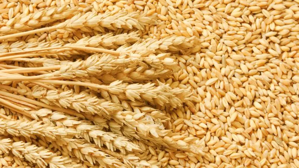 El asesor gremial aseguró que los desafíos para rentabilizar la producción de granos llevarán a que los dirigentes continúen monitoreando mercados y fomentando el diálogo.