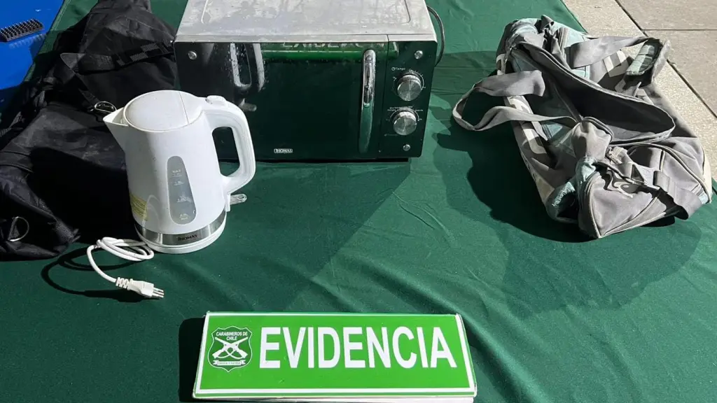 Especies recuperadas por Carabineros., Cedida