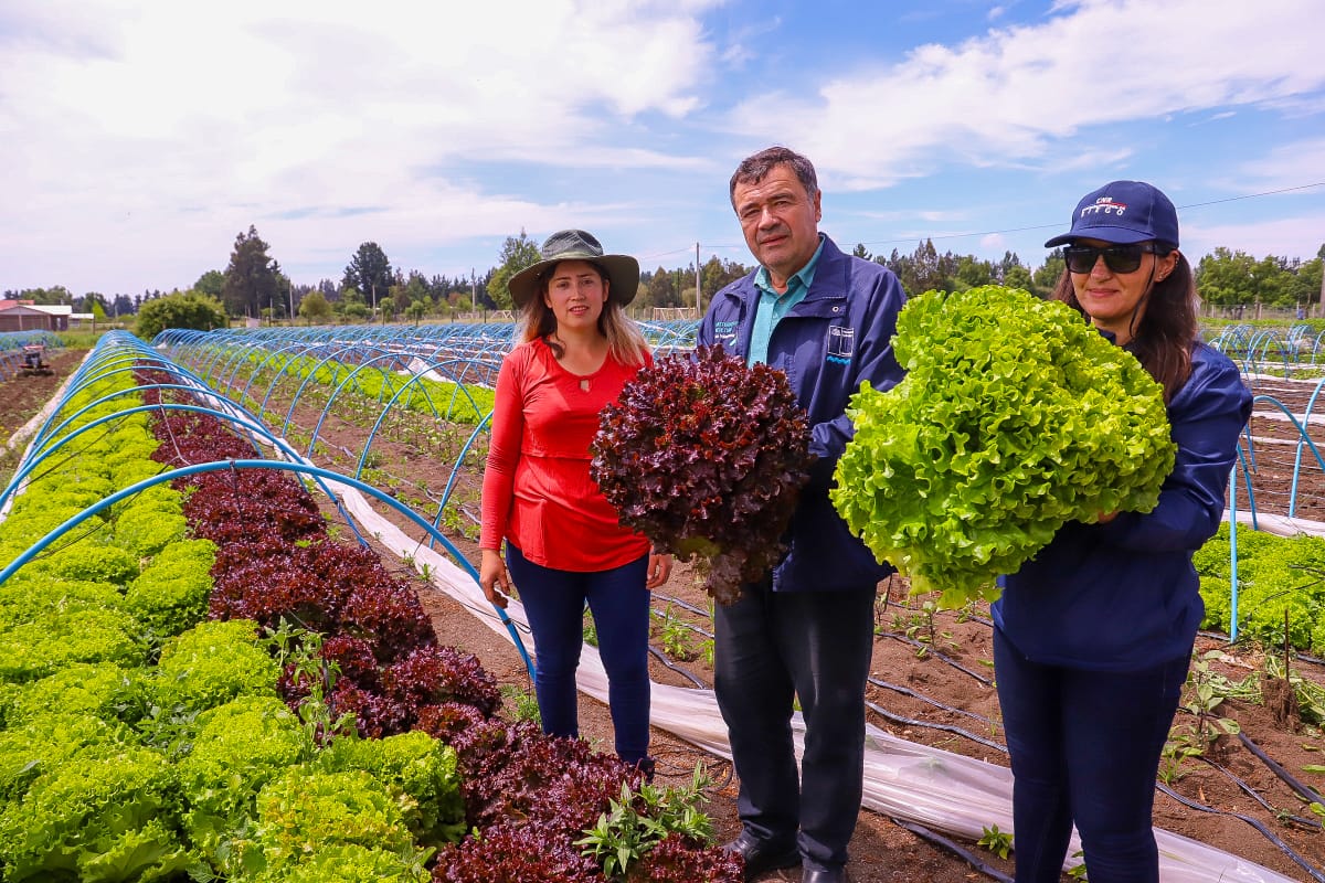 Autoridades visitan la huerta de familia emprendedora en El Peral / cedida