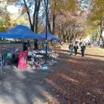 Anticuaria de Plaza Pinto denuncia exclusión y “castigo” por parte de agrupaciones administradoras, Diario La Tribuna