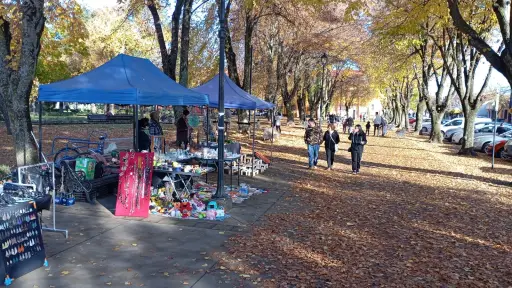 Anticuaria de Plaza Pinto denuncia exclusión y castigo por parte de agrupaciones administradoras