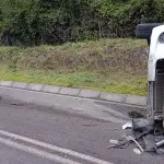 El animal falleció en el lugar del accidente., Radio Paula FM