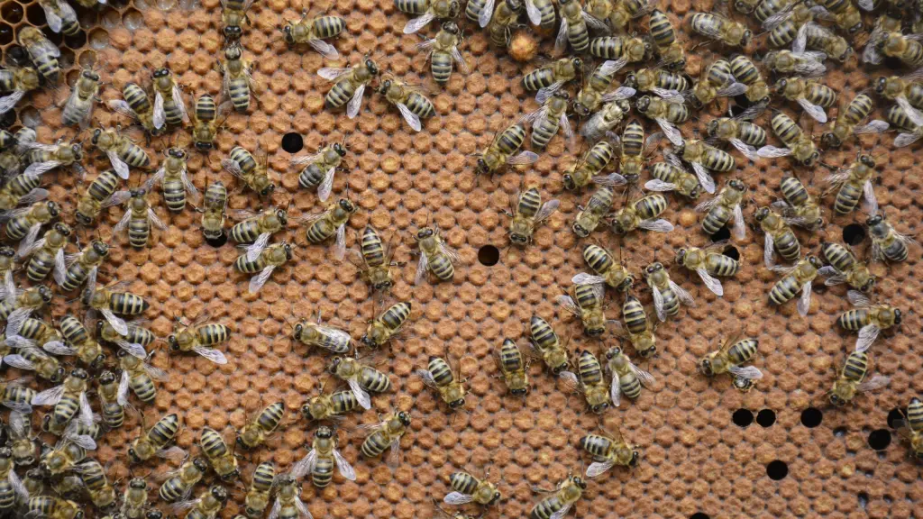 Para avanzar en exportación de material biológico, Chile necesita un marco normativo actualizado y robusto que incluya estándares sanitarios y protocolos logísticos simplificados. 