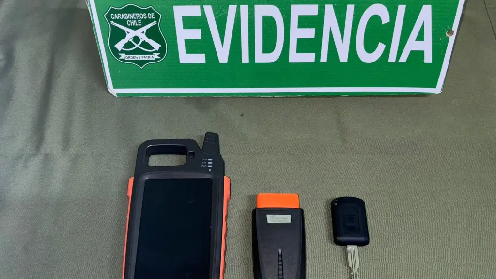 Especies incautadas por Carabineros de la Patrulla Foco., Cedida