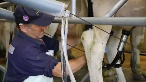 Productores cuestionan reavalúo agrícola y ven desconexión de la ley con el sector