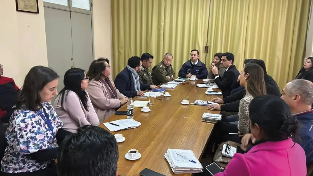 Durante la instancia se anunció un mapeo de incidentes que combinará por primera vez información policial con registros sanitarios., Diario La Tribuna