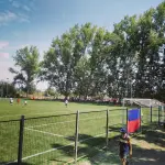 “Tercer tiempo” termina en tragedia: hombre fue asesinado a palos junto a cancha de fútbol en Lampa, Diario La Tribuna