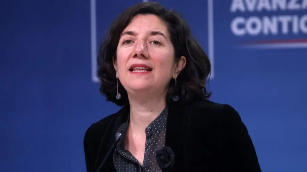 Aysén Etcheverry, ministra vocera de Gobierno., Gobierno de Chile