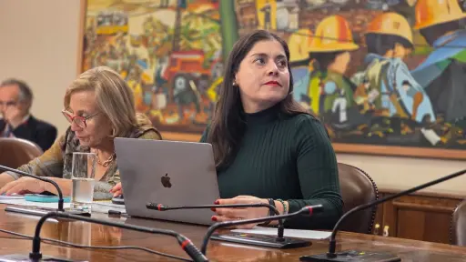Diputada Karen Medina solicita apoyo al Presidente Boric para proyecto de brigadas caninas que busca fortalecer seguridad en establecimientos educacionales
