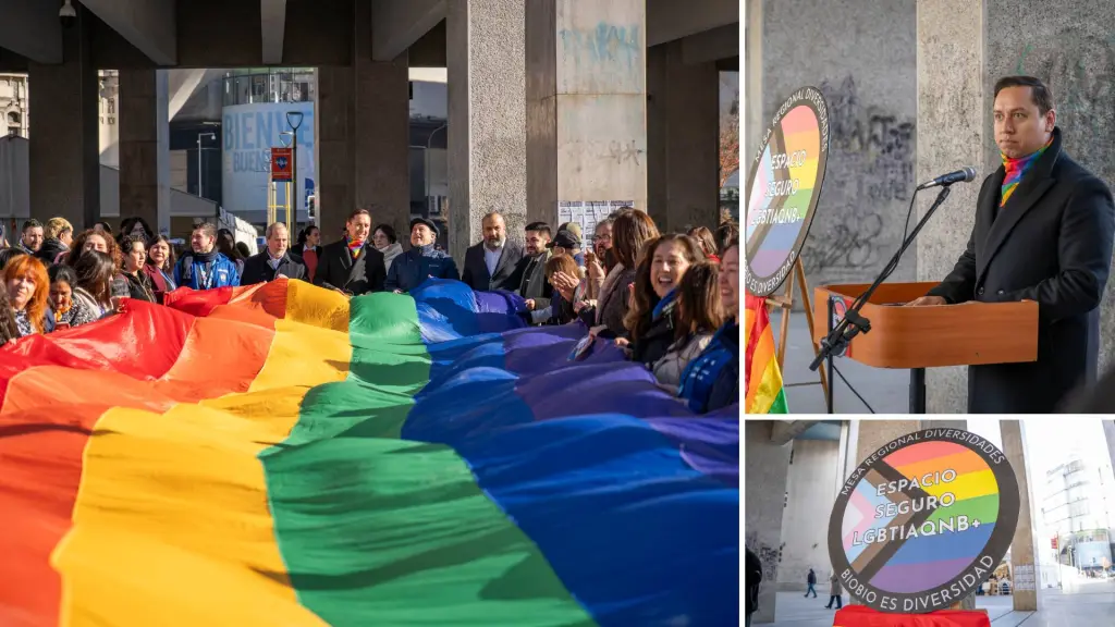 Entregad de sellos y bandera en Concepción