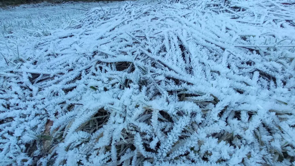 Autoridades llaman a conducir con precaución y mantenerse informados., Diario La Tribuna