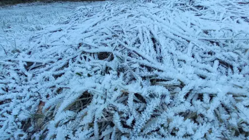 Mulchén marcó la mínima regional con -8,9°C en jornada de frío extremo