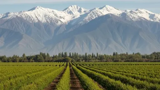 INIA lanza Pulso Agroclimático para orientar a productores agrícolas del país