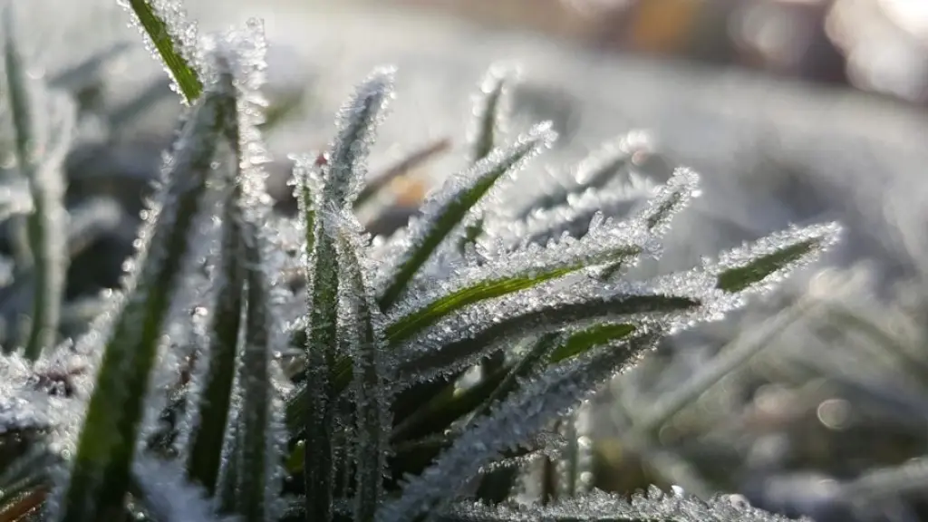 La alerta estará vigente desde este jueves 26 de junio y hasta que las condiciones meteorológicas lo ameriten., contexto