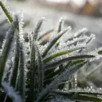 La alerta estará vigente desde este jueves 26 de junio y hasta que las condiciones meteorológicas lo ameriten., contexto