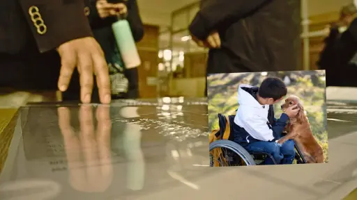 Perro de asistencia, sistema Braille y más: las medidas para el voto de personas con discapacidad en Biobío